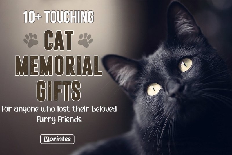 15 Touching Cat Memorial Gifts For Anyone Lost Their Beloved Furry Friends | Vprintes
