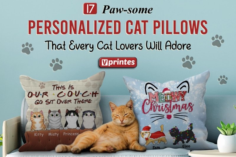 17 Paw-some Cat Pillow Designs That Every Cat Lovers Will Adore | Vprintes