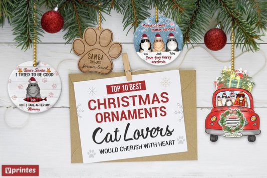 Top 10 Best Christmas Ornaments Cat Lovers Would Cherish With Heart | Vprintes